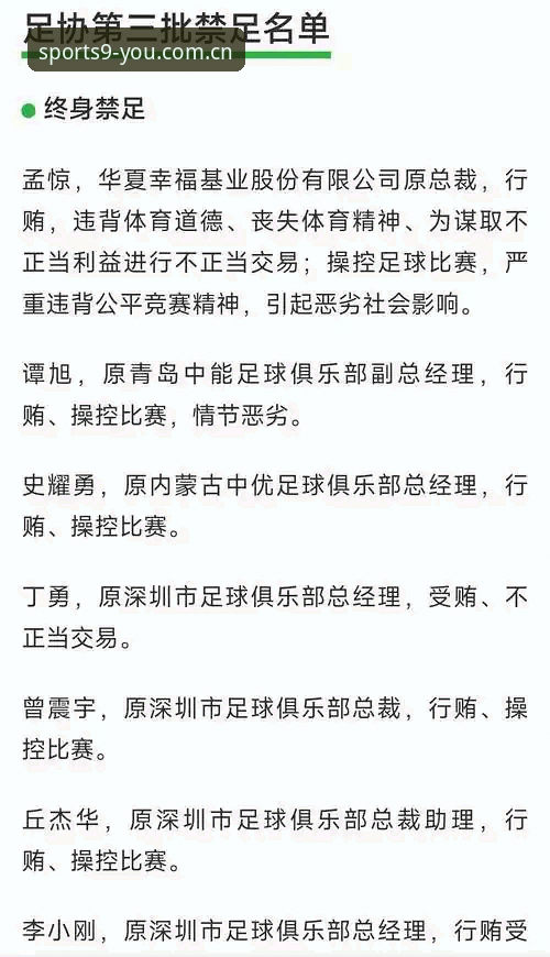 中国足协第三批禁足名单实用解读指南——资深球迷必备知识